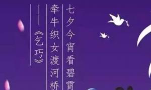 Է. Ϧʫʣ11