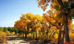 Է.ݡ | ӵĺҲ欣ͼ