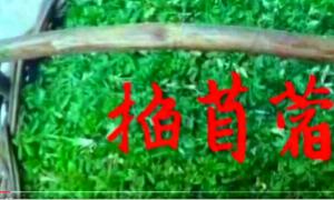 չݡ¬|ޣ