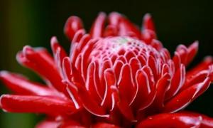   潪λ
