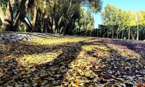 �۵�/�����������