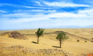 �۵�/һ�����ľ����ں�