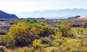 �ں�/��������һ���˵�������(��ʫ)