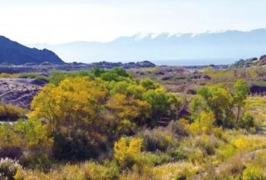 �ں�/��������һ���˵�������(��ʫ)