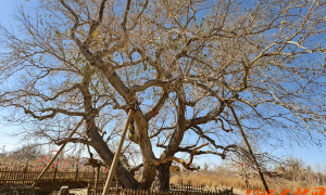 ������/��ɣ��ʱ�������