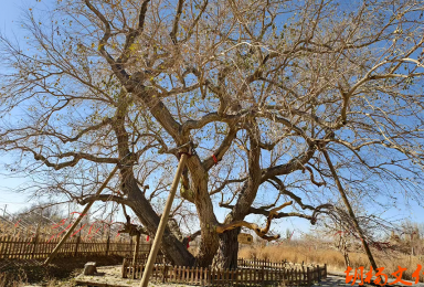 ������/��ɣ��ʱ�������