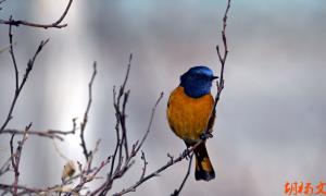 ����ʪ��֮���顪̫ƽ����ͼ��