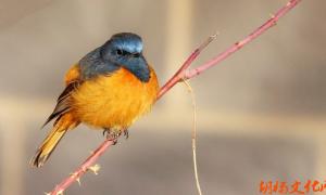 ���ǿ/��̬�ػ���Ӱ������