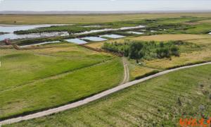 ������/ɳ��������