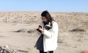 Ѧ���/�������һ�꣬������Į�ļ�